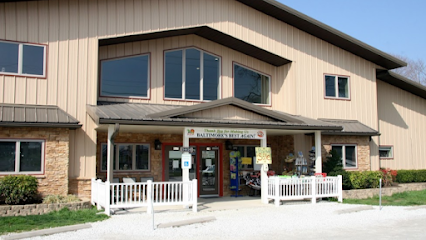 Dog day care in Reisterstown Maryland Reisterstown Pet Resort Spa 1