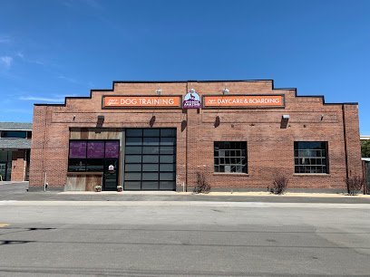 Dog day care in Reno Nevada Dog Gone Amazing Dog Training and Boarding 1 1