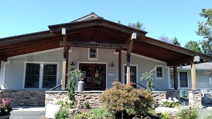 Dog day care in Rensselaer New York Bloomingrove Veterinary Hospital 1