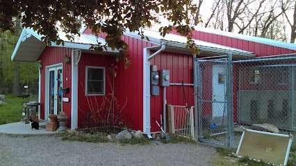 Dog day care in Rice Minnesota Paws in the Country 1