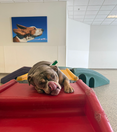 Dog day care in Richfield Minnesota ADOGO Pet Hotel MSP Airport 1