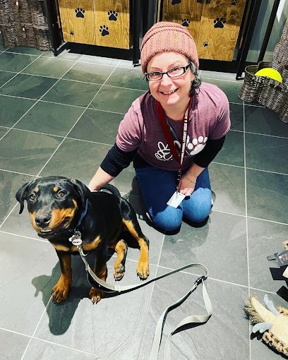Dog day care in Richmond Heights Missouri DogVerse Kennel LLC 1 1