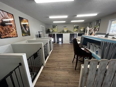 Dog day care in Richmond Hill Georgia Richmond Hill Boarding Co