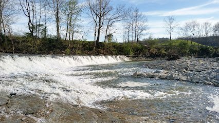 Dog day care in Richmond Kentucky For Paws Unleashed 1