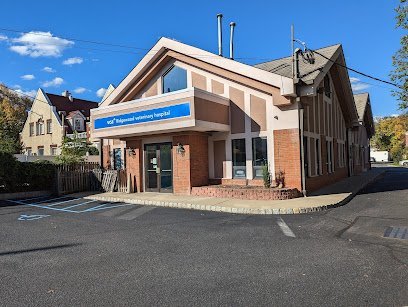 Dog day care in Ridgewood New Jersey VCA Ridgewood Veterinary Hospital 1