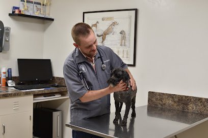 Dog day care in Rigby Idaho South Fork Animal Clinic 1