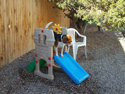 Dog day care in Rio Rancho New Mexico Dog Days Doggie Day Care 1