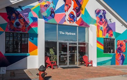 Dog day care in Riverhead New York Maximum K9 Riverhead 1