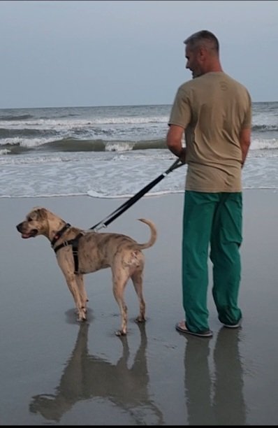 Dog day care in Roachdale Indiana TD Forever Home Training at The Dog Lounge 1