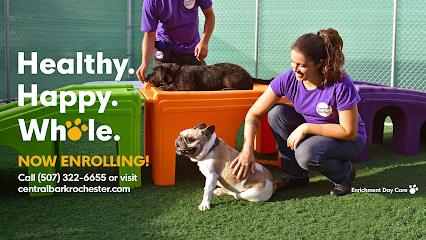 Dog day care in Rochester Minnesota Central Bark Rochester MN 1