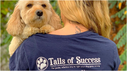 Dog day care in Rochester New York Tails of Success Dog Daycare and Training 1