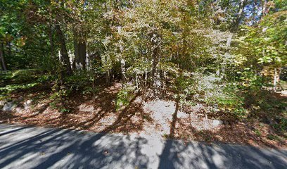 Dog day care in Rockaway Township New Jersey The Pampered Pet 1