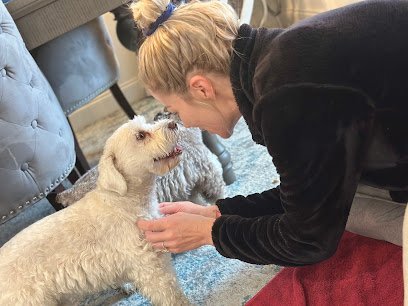 Dog day care in Rockwall Texas Campground Kennels Boarding Retreat 1