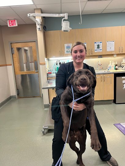 Dog day care in Rocky Mount North Carolina Riverside Veterinary Hospital  Bob Cameron DVM 1