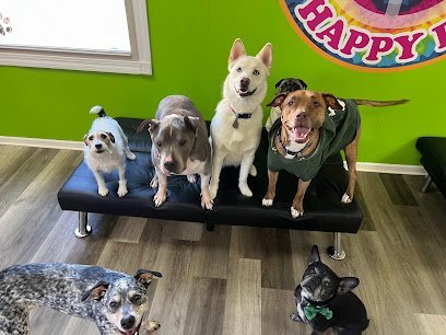 Dog day care in Romeoville Illinois Peace Love Happy Pets LLC 1