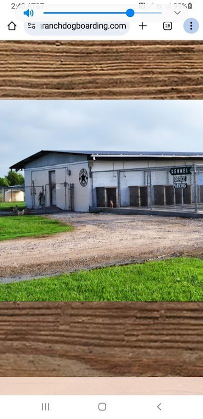 Dog day care in Rosharon Texas Heiman Ranch Dog Boarding 1