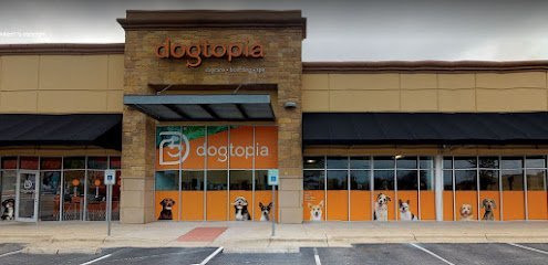 Dog day care in Round Rock Texas Dogtopia of Round Rock 1
