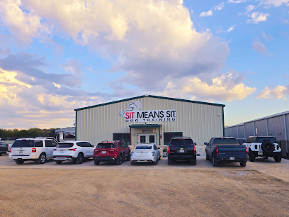 Dog day care in Royse City Texas Sit Means Sit Dog Training Metroplex East 1