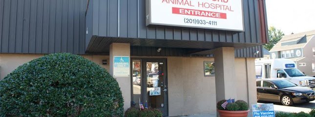Dog day care in Rutherford New Jersey VCA Rutherford Animal Hospital 1