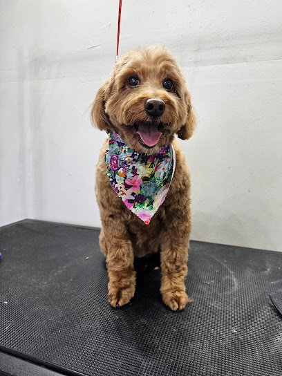 Dog day care in Saginaw Michigan Kiss My Mutts LLC 1