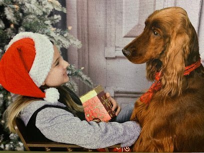 Dog day care in Salem Oregon Claws N Paws 1