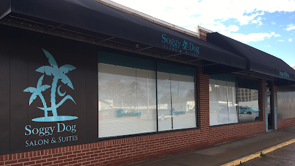 Dog day care in Salina Kansas Soggy Dog Suites Canine Cove Dog Wash 1