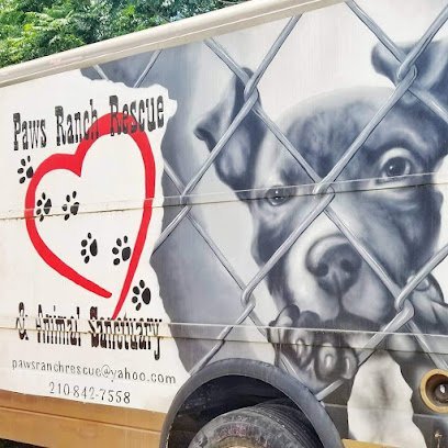 Dog day care in San Antonio Texas Paws Ranch Rescue Animal Sanctuary 1