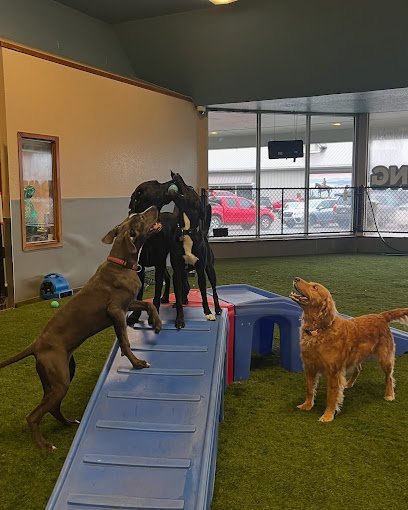Dog day care in Sandy Oregon MT. Hood Pet Resort 1