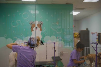 Dog day care in Sandy Springs Georgia Oh My Dog Pet Spa