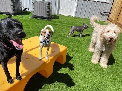 Dog day care in Santa Claus Indiana Santa Paws Ultimutt Retreat 1