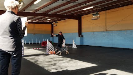 Dog day care in Santa Fe New Mexico Santa Fe Tails 1