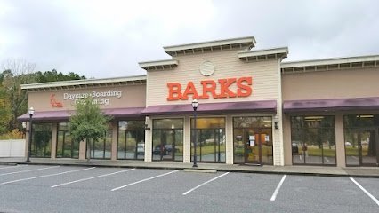 Dog day care in Savannah Georgia BARKS