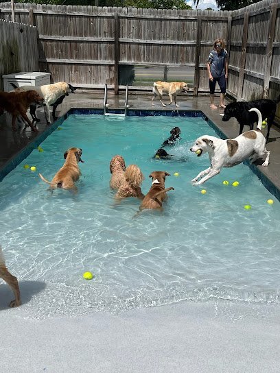 Dog day care in Savannah Georgia VON TRAPP ANIMAL LODGE