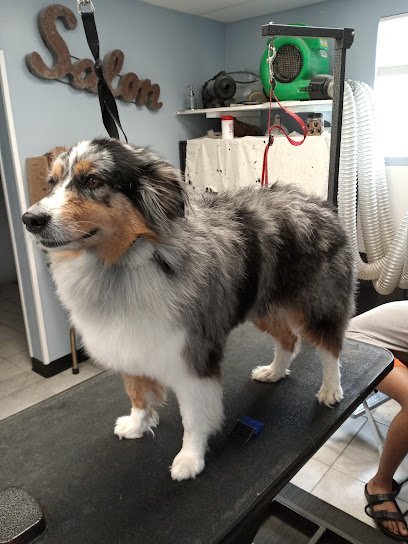 Dog day care in Scappoose Oregon Hug a Bubba s Sleepovers 1