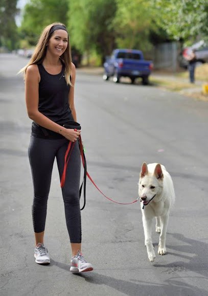 Dog day care in Scarsdale New York Trick Track Trail Dog Walker 1