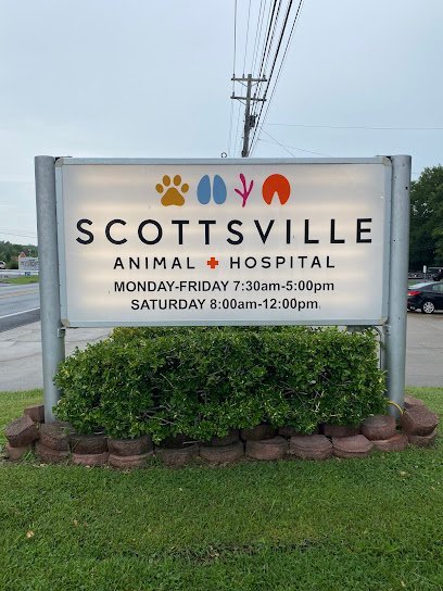 Dog day care in Scottsville Kentucky Scottsville Animal Hospital 1