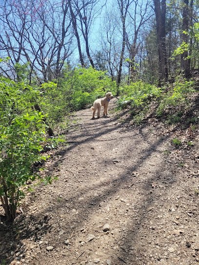 Dog day care in Shawnee Kansas Swanson s Streamway Dog Park and Daycare 1