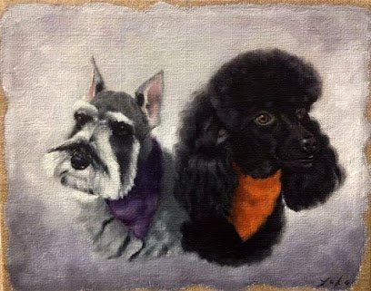 Dog day care in Shawnee Oklahoma HoliDog Inn Room Groom 1