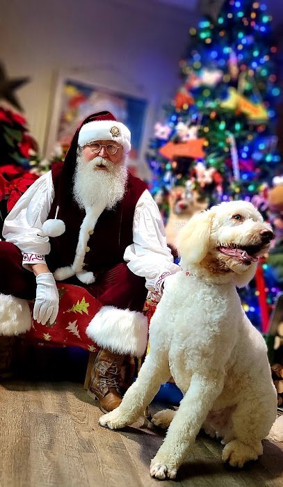 Dog day care in Shelby North Carolina Braver Hund Dog Village 1