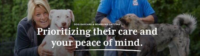 Dog day care in Shelby Township Michigan All American Pet Resorts Shelby Township 1 768x217