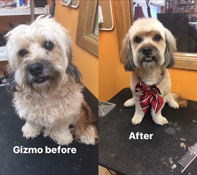 Dog day care in Sioux Falls South Dakota South Central Grooming 1