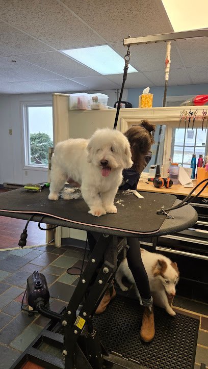 Dog day care in Slingerlands New York Pet Styles 1