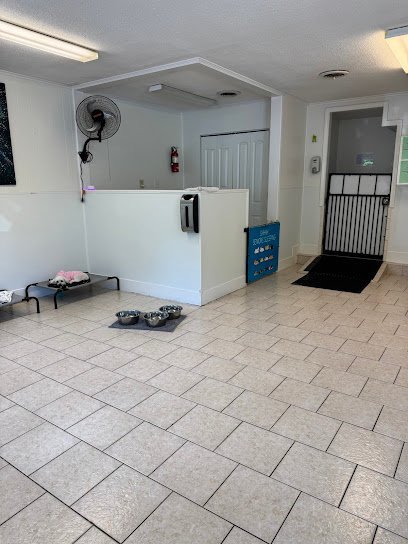 Dog day care in Smyrna Georgia Happy Paws Pet Camp