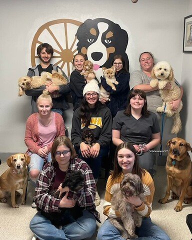 Dog day care in Solon Iowa Diersen s Canine Country Club 1