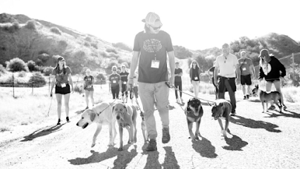 Dog day care in South Beloit Illinois BA K9 Training 1