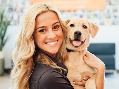 Dog day care in South Elgin Illinois Dogtopia of South Elgin 1