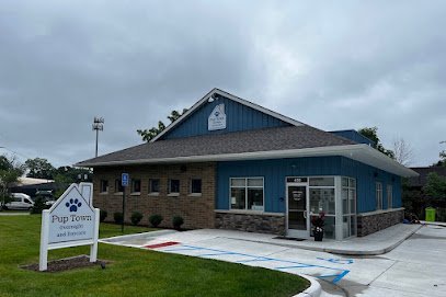 Dog day care in South Lyon Michigan Pup Town 1