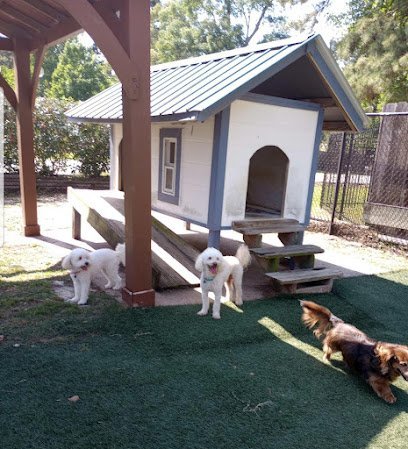Dog day care in Spring Texas Woodlands Doggie Village Board Play Spa 1