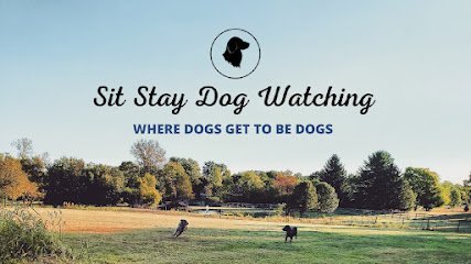 Dog day care in Springboro Ohio Sit Stay Dog Watching LLC 1