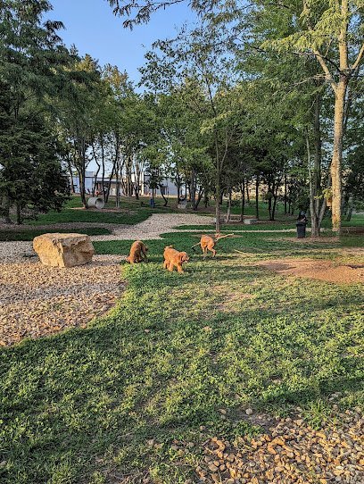 Dog day care in Springfield Missouri Bark Yard 1